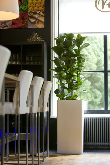 Tall square plant container