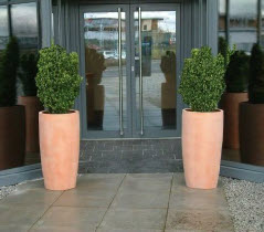 Various GRP plant containers terracotta finish