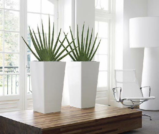 Tall tapered square planter