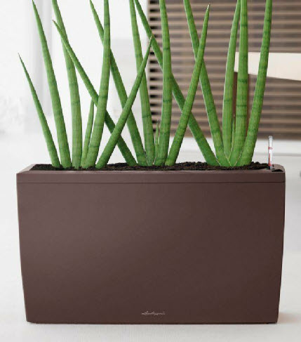 Lechuza range of planters