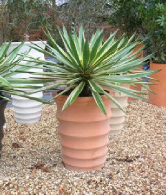 Various GRP plant containers terracotta finish